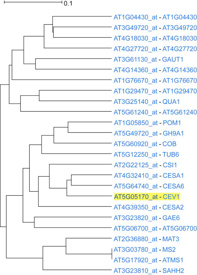https://cdn.ncbi.nlm.nih.gov/pmc/blobs/bbdd/8334378/be2b35cf5a91/gr2.jpg