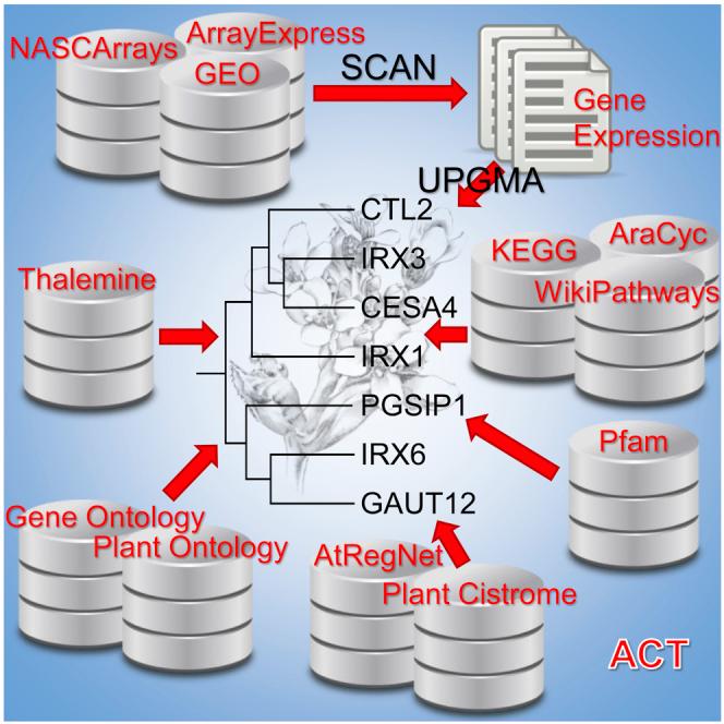 https://cdn.ncbi.nlm.nih.gov/pmc/blobs/bbdd/8334378/d5bcd56a73fe/fx1.jpg