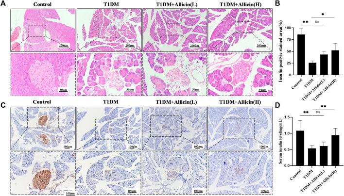 https://cdn.ncbi.nlm.nih.gov/pmc/blobs/bbdd/9937553/2f0359c6ad37/fphar-14-1108730-g002.jpg