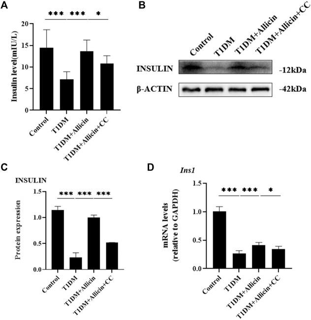 https://cdn.ncbi.nlm.nih.gov/pmc/blobs/bbdd/9937553/d34855a28ebc/fphar-14-1108730-g005.jpg