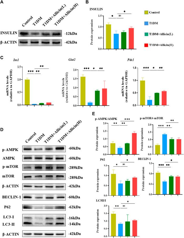 https://cdn.ncbi.nlm.nih.gov/pmc/blobs/bbdd/9937553/f3893ae749b7/fphar-14-1108730-g003.jpg