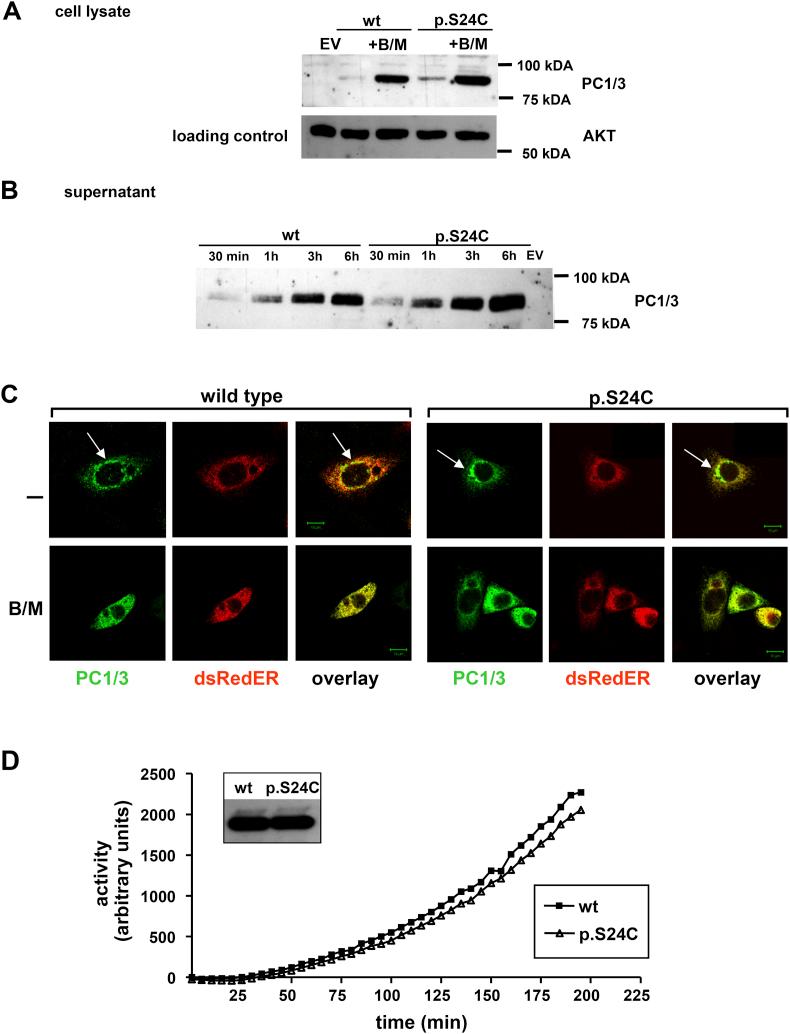 https://cdn.ncbi.nlm.nih.gov/pmc/blobs/bbde/5323889/0cfd4e271d14/gr3.jpg