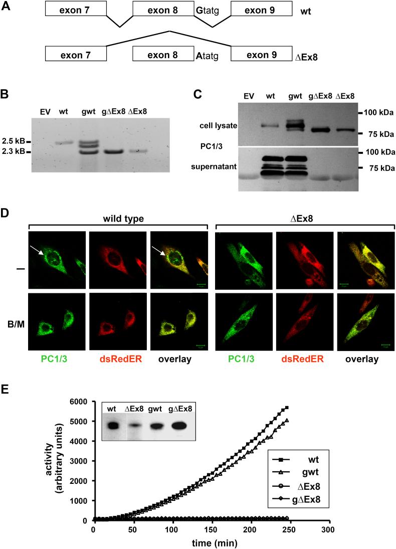 https://cdn.ncbi.nlm.nih.gov/pmc/blobs/bbde/5323889/4badd4598e19/gr2.jpg