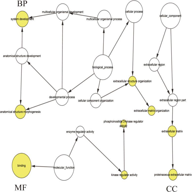 https://cdn.ncbi.nlm.nih.gov/pmc/blobs/bbde/7874475/1e919812996f/13048_2021_779_Fig7_HTML.jpg