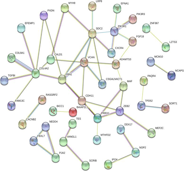 https://cdn.ncbi.nlm.nih.gov/pmc/blobs/bbde/7874475/6705b5c108ee/13048_2021_779_Fig8_HTML.jpg