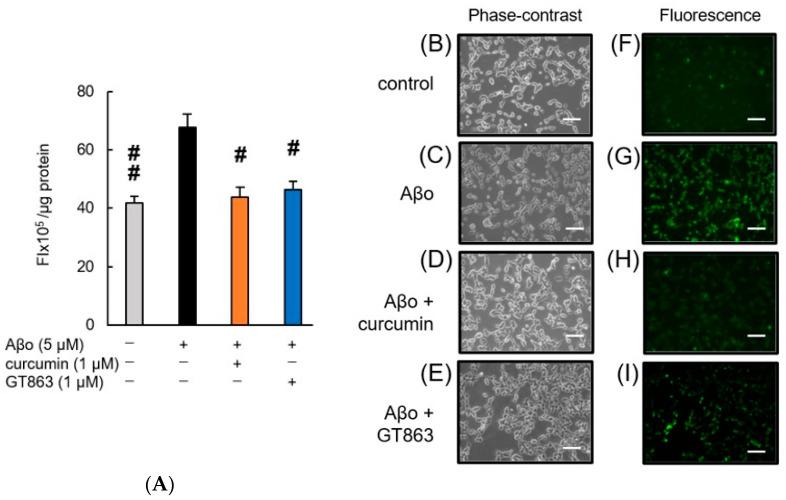 https://cdn.ncbi.nlm.nih.gov/pmc/blobs/bbdf/9960433/b402a6b408c4/ijms-24-03089-g005.jpg