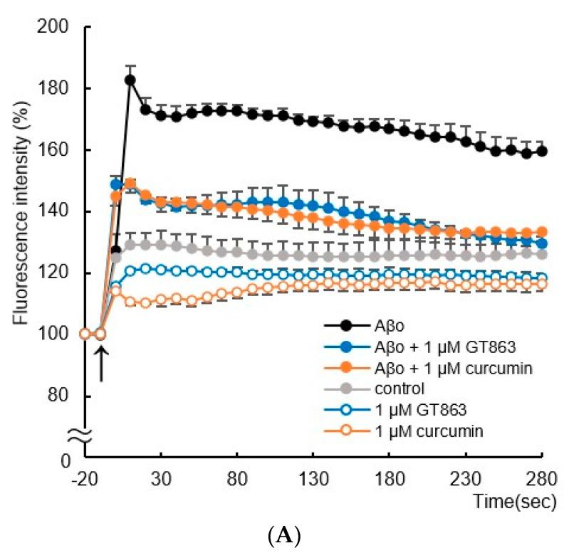 https://cdn.ncbi.nlm.nih.gov/pmc/blobs/bbdf/9960433/c2e6783ba55d/ijms-24-03089-g007a.jpg