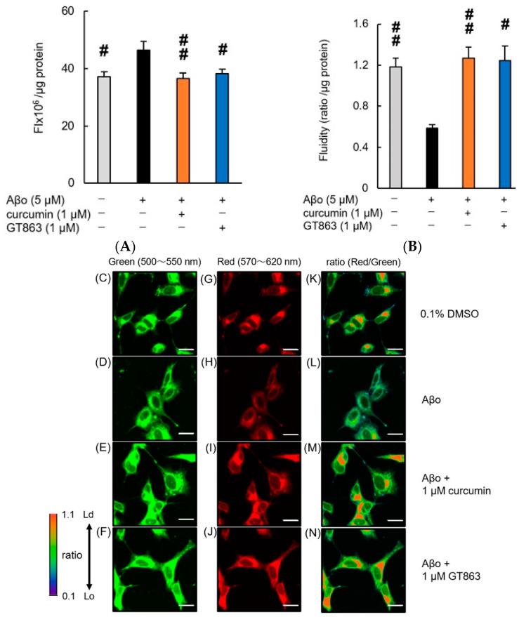 https://cdn.ncbi.nlm.nih.gov/pmc/blobs/bbdf/9960433/e211149c1b9c/ijms-24-03089-g006.jpg