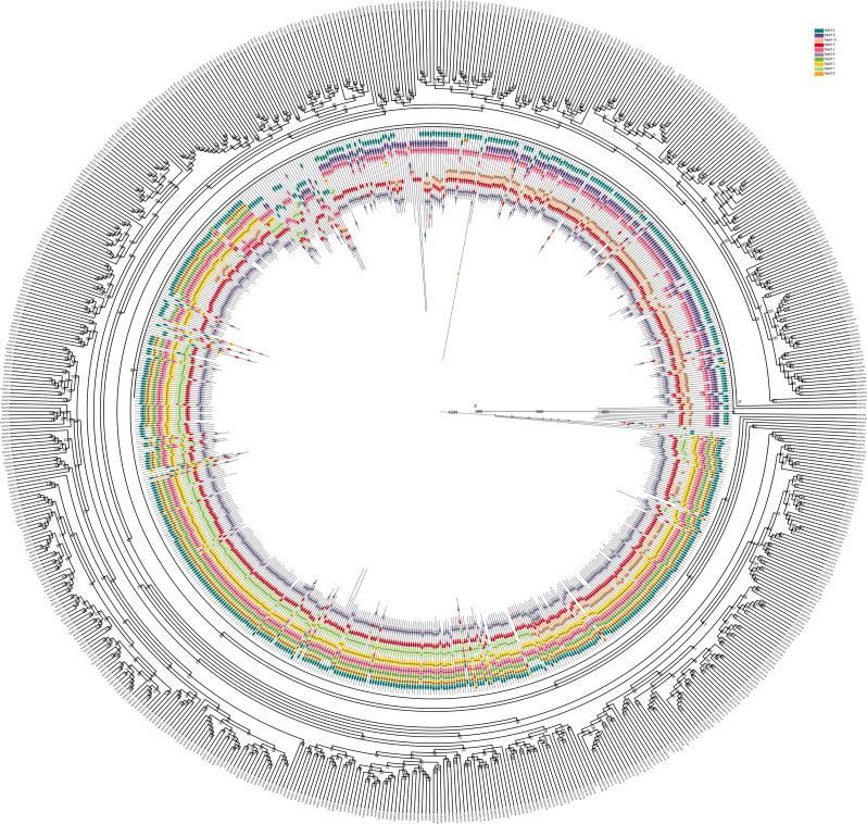 https://cdn.ncbi.nlm.nih.gov/pmc/blobs/bbe2/11600577/a76f2bae7687/12864_2024_11080_Fig5_HTML.jpg