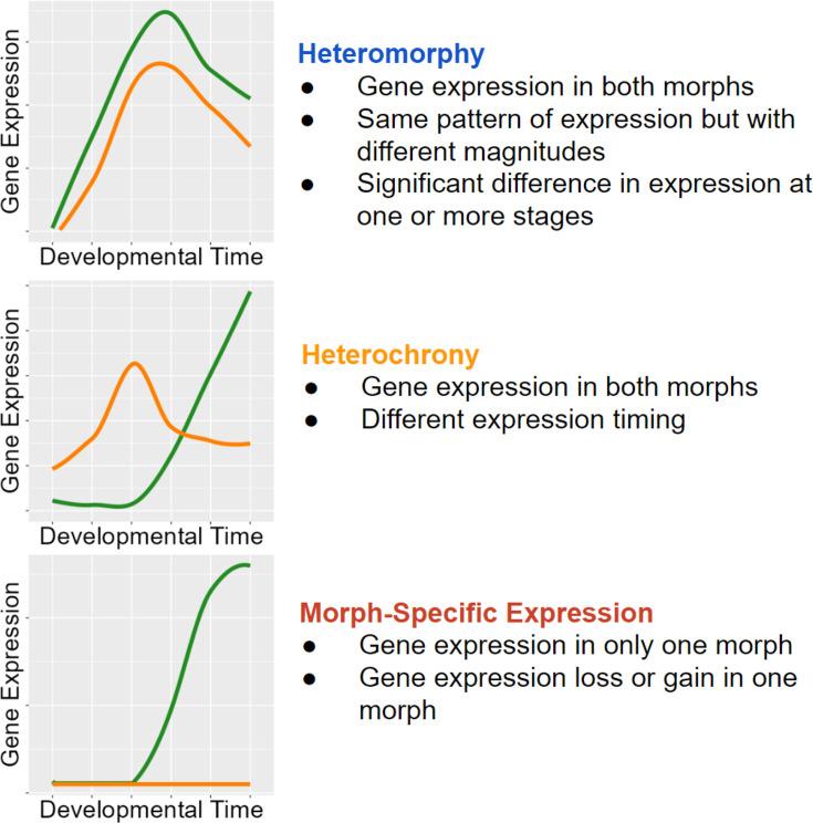 https://cdn.ncbi.nlm.nih.gov/pmc/blobs/bbe5/11343563/24d1e4326002/elife-93062-fig3.jpg