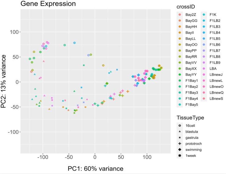 https://cdn.ncbi.nlm.nih.gov/pmc/blobs/bbe5/11343563/385effd9a27b/elife-93062-fig8-figsupp1.jpg
