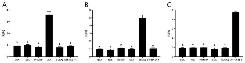 https://cdn.ncbi.nlm.nih.gov/pmc/blobs/bbe5/11679068/36f6979dafa0/sensors-24-07899-g006.jpg