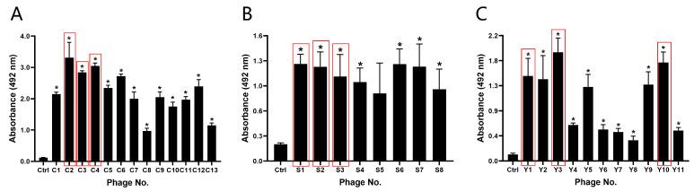 https://cdn.ncbi.nlm.nih.gov/pmc/blobs/bbe5/11679068/8259e8af2b00/sensors-24-07899-g003.jpg