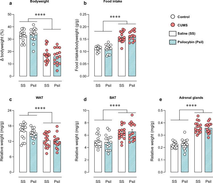 https://cdn.ncbi.nlm.nih.gov/pmc/blobs/bbe5/12167372/3f5f7fd34900/41398_2025_3421_Fig3_HTML.jpg