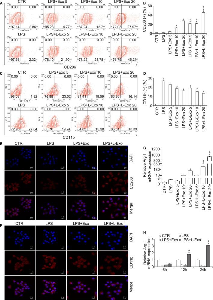 https://cdn.ncbi.nlm.nih.gov/pmc/blobs/bbe5/6815833/c17348d8a488/JCMM-23-7617-g002.jpg