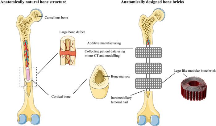 https://cdn.ncbi.nlm.nih.gov/pmc/blobs/bbe5/8908495/e52f76a7c474/ao1c05437_0002.jpg