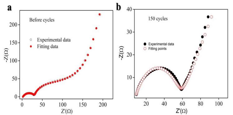 https://cdn.ncbi.nlm.nih.gov/pmc/blobs/bbe7/11477527/af99a7de5084/molecules-29-04750-g005.jpg