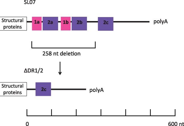 https://cdn.ncbi.nlm.nih.gov/pmc/blobs/bbe7/6007266/a0538462d2ff/vey012f1.jpg