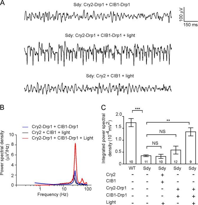 https://cdn.ncbi.nlm.nih.gov/pmc/blobs/bbec/8589677/a253d15e8fe8/41380_2021_1038_Fig7_HTML.jpg