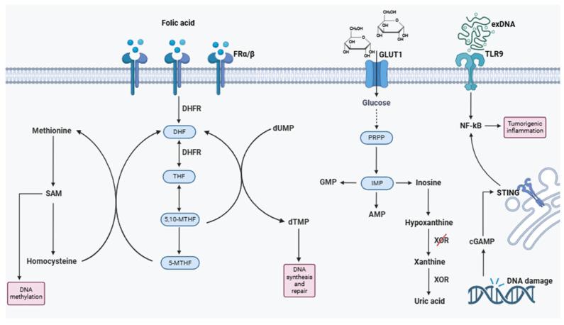 https://cdn.ncbi.nlm.nih.gov/pmc/blobs/bbed/12029571/b9035f5d772f/metabolites-15-00221-g003.jpg