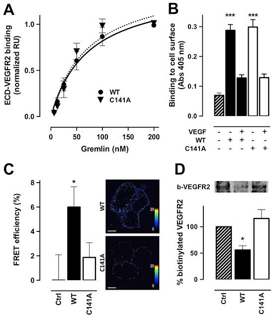 https://cdn.ncbi.nlm.nih.gov/pmc/blobs/bbed/5085234/512f94324c58/oncotarget-07-35353-g005.jpg