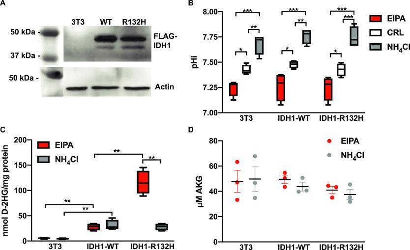 https://cdn.ncbi.nlm.nih.gov/pmc/blobs/bbee/8246651/35315d94729e/bi1c00059_0002.jpg