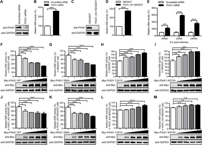 https://cdn.ncbi.nlm.nih.gov/pmc/blobs/bbee/9009768/1516a3faadd3/ppat.1010446.g004.jpg