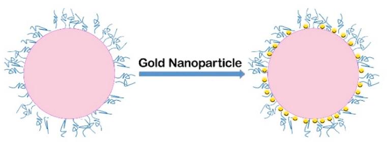https://cdn.ncbi.nlm.nih.gov/pmc/blobs/bbef/11728908/37e9af7301bc/gr3.jpg