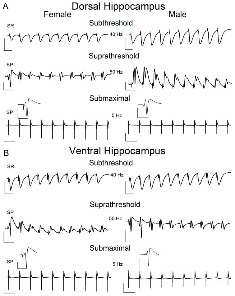 https://cdn.ncbi.nlm.nih.gov/pmc/blobs/bbf0/12429153/93a291841cb2/ijms-26-08424-g003.jpg