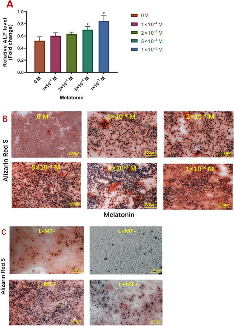 https://cdn.ncbi.nlm.nih.gov/pmc/blobs/bbf2/9114102/b35a141fefbb/41598_2022_11912_Fig4_HTML.jpg