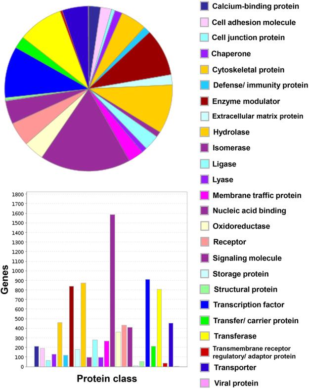 https://cdn.ncbi.nlm.nih.gov/pmc/blobs/bbf5/5727190/735187976d34/41598_2017_17475_Fig7_HTML.jpg