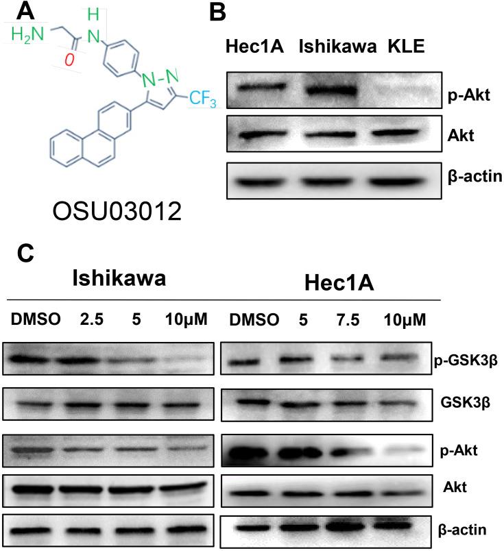 https://cdn.ncbi.nlm.nih.gov/pmc/blobs/bbf5/8096345/3f21e4d484bd/DDDT-15-1797-g0001.jpg