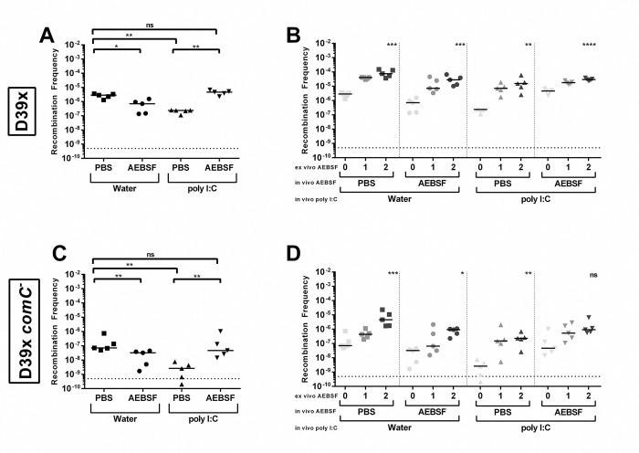 https://cdn.ncbi.nlm.nih.gov/pmc/blobs/bbf8/10259803/b2456d6d0bf9/ppat.1011421.g007.jpg