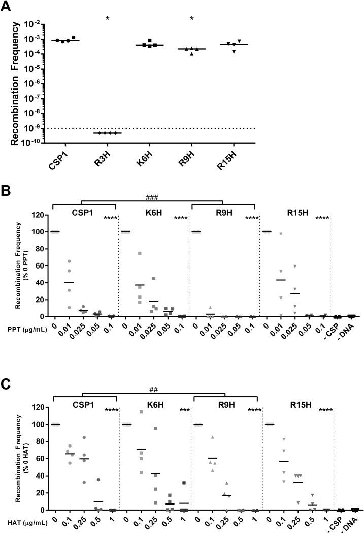 https://cdn.ncbi.nlm.nih.gov/pmc/blobs/bbf8/10259803/bbf08b804db1/ppat.1011421.g004.jpg