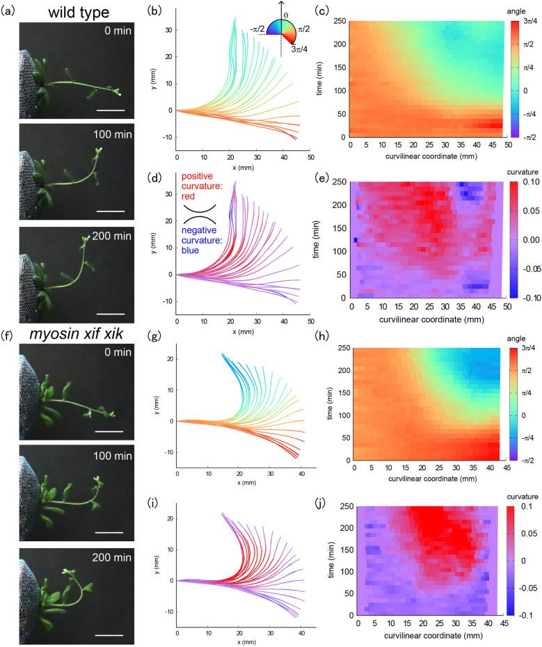 https://cdn.ncbi.nlm.nih.gov/pmc/blobs/bbf8/10352312/93c2d8c836d6/41598_2023_38069_Fig1_HTML.jpg