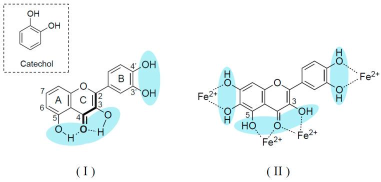 https://cdn.ncbi.nlm.nih.gov/pmc/blobs/bbf8/11988947/323f1f451bb8/ijms-26-02916-g004.jpg