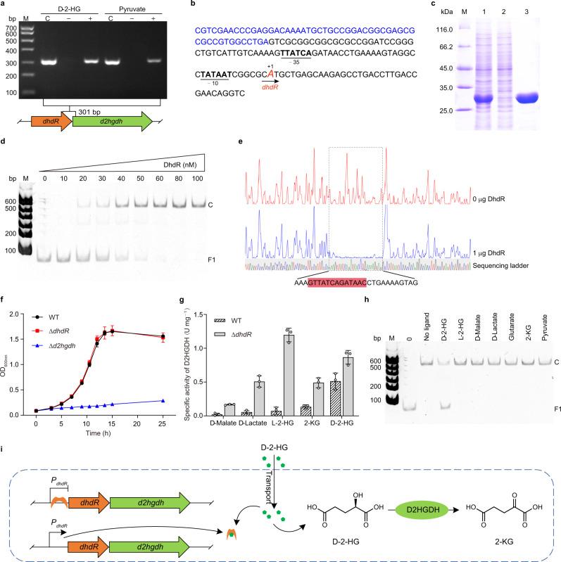 https://cdn.ncbi.nlm.nih.gov/pmc/blobs/bbfb/8651671/99bac88ea563/41467_2021_27357_Fig2_HTML.jpg