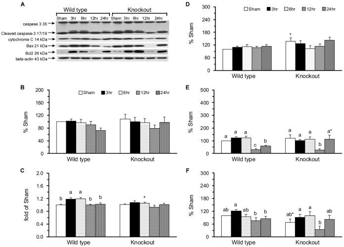 https://cdn.ncbi.nlm.nih.gov/pmc/blobs/bbfd/4081647/0b288a1699d0/pone.0101314.g006.jpg