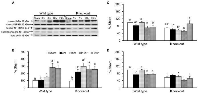 https://cdn.ncbi.nlm.nih.gov/pmc/blobs/bbfd/4081647/854bc8c620f7/pone.0101314.g003.jpg