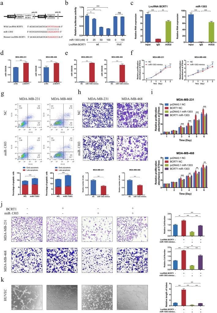 https://cdn.ncbi.nlm.nih.gov/pmc/blobs/bbfd/7206728/276beef0611e/12943_2020_1206_Fig4_HTML.jpg