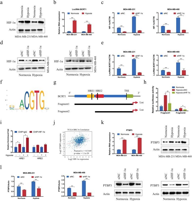 https://cdn.ncbi.nlm.nih.gov/pmc/blobs/bbfd/7206728/5110e8537b2f/12943_2020_1206_Fig7_HTML.jpg