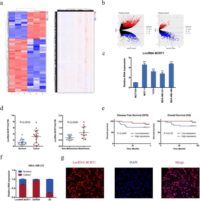https://cdn.ncbi.nlm.nih.gov/pmc/blobs/bbfd/7206728/b9110aa42692/12943_2020_1206_Fig1_HTML.jpg