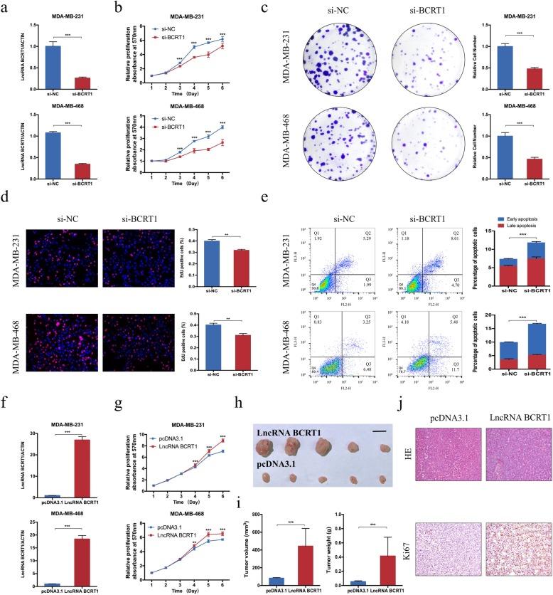 https://cdn.ncbi.nlm.nih.gov/pmc/blobs/bbfd/7206728/cc78e00249d9/12943_2020_1206_Fig2_HTML.jpg