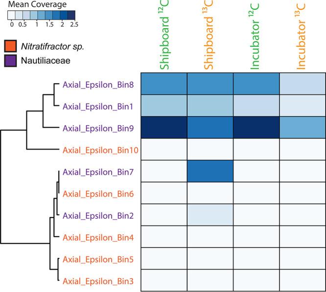 https://cdn.ncbi.nlm.nih.gov/pmc/blobs/bbfd/8091007/5d2dbcb059d0/AEM.00078-21-f0004.jpg