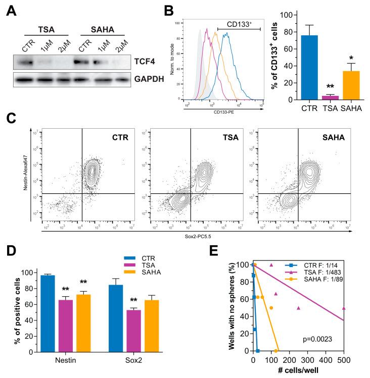 https://cdn.ncbi.nlm.nih.gov/pmc/blobs/bbfd/9027190/81138e4644f6/cancers-14-01897-g001.jpg
