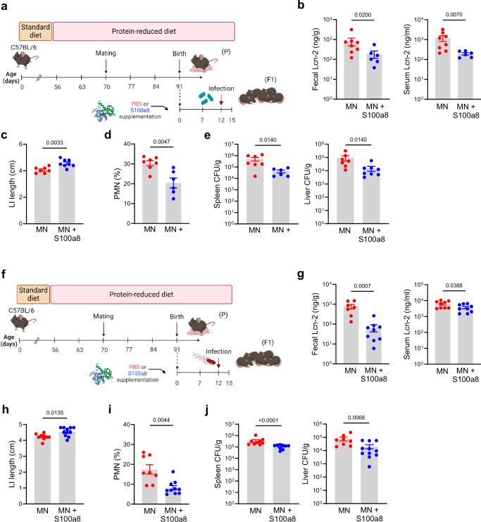 https://cdn.ncbi.nlm.nih.gov/pmc/blobs/bbfe/11452687/b5a94a8e973a/41467_2024_52829_Fig5_HTML.jpg
