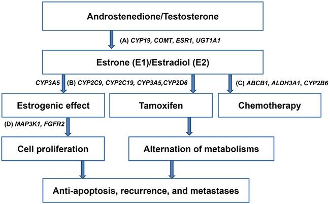 https://cdn.ncbi.nlm.nih.gov/pmc/blobs/bbfe/5400556/06e42240aa1b/oncotarget-08-20925-g001.jpg