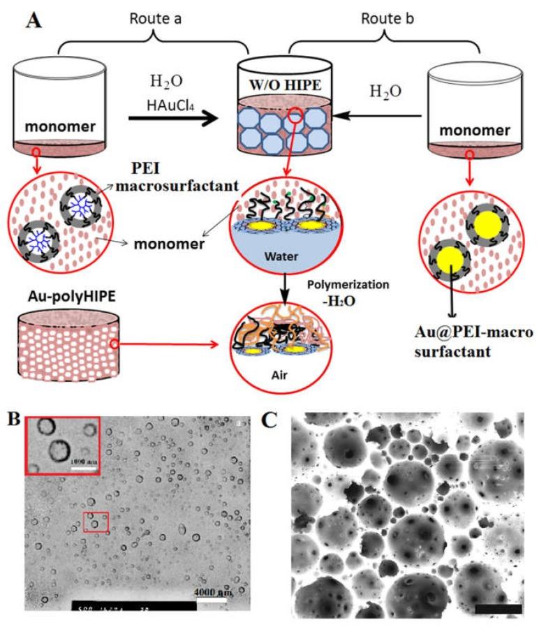 https://cdn.ncbi.nlm.nih.gov/pmc/blobs/bbfe/7240670/bf0c32eb7c6e/polymers-12-00779-g006.jpg
