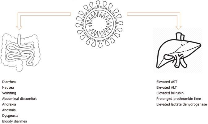 https://cdn.ncbi.nlm.nih.gov/pmc/blobs/bbfe/7243653/4b14b6d0352a/WJG-26-2323-g001.jpg