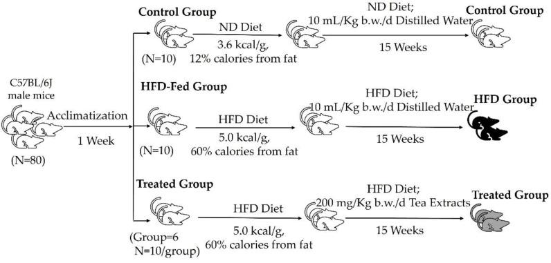 https://cdn.ncbi.nlm.nih.gov/pmc/blobs/bbff/9658379/3fd7ddf87194/foods-11-03457-g001.jpg